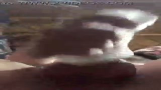 voluptuous jizz blast for zigzagman710