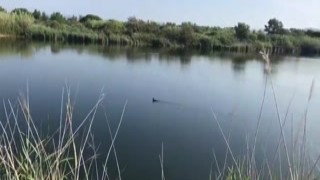 on our way back from the beach my wife wanted me to raw dog her excited that they could see us she took it in the juicy ass like never before - part 3