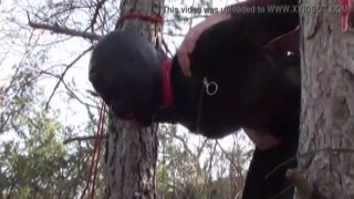 tied up to a tree outdoor on seductive clothes wearing pantyhose and high ankle boots heels rough smash