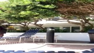 white swingers in miami pay my grandpa and i to let his wife mouth fuck our black cocks