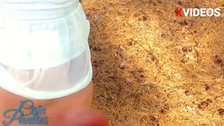 75 all load panties in 2020 comp