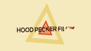 the act of seduction. i went to visit my girlfriend she wasn t around her two female friends seduced me into having 3some. i drilled em iron.