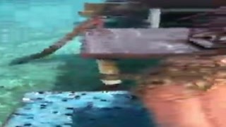 our honeymoon sex tape in paradise part 2-sex vacations 