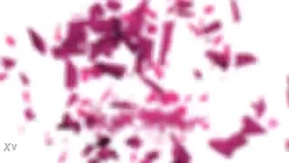 girlsrimming super steamy katie kush giving a sloppy rimjob ramon nomar