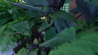 cory chase in steamy hot stepmother has a question