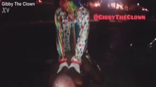 the true definition of a cream pie