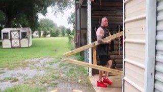 nosey neighbor gets rammed