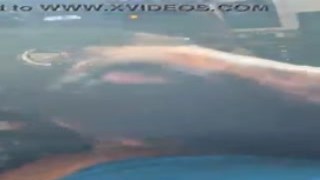 car washing purple-headed yogurt slinger sucking