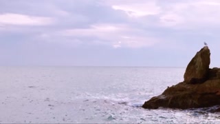 fat ass gaped and punished with throbbing slapping and rimjobs by the ocean -trailer -silvia soprano