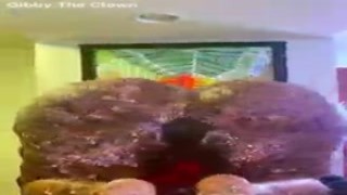 victoria cakes give gibby the clown a great birthday present