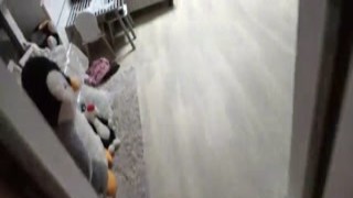 stepbrother rammed his stepsis stuck in the table