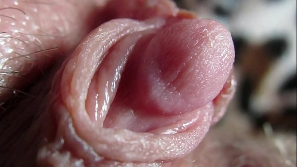 watch my fat clit throb right in your face