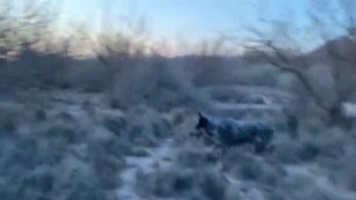 from homeless to pornstars part 1 non-porn documentary 