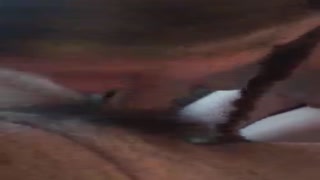 bj and wreck with pigtails