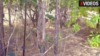 nonstop ropes panties mashup