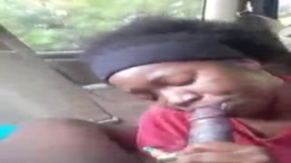 kyttkatt sucks spits and swallows