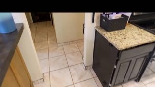 playing strip poker with my fake mom coco vandi