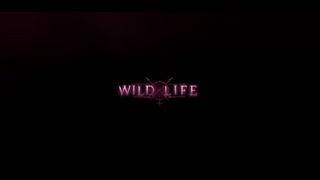 don t touch the red stone 3d hentai