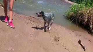 sparks go wild outdoor banging in the mud