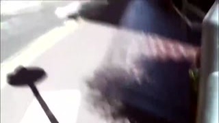 black beauty jasmine webb