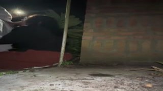 asking to blow everything so i can pounding my kawaii step-stepbrother estefani