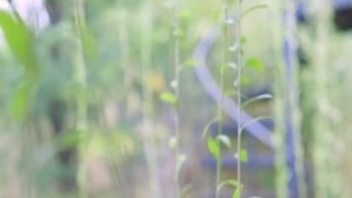 katya clover struts her pocket size body for the camera